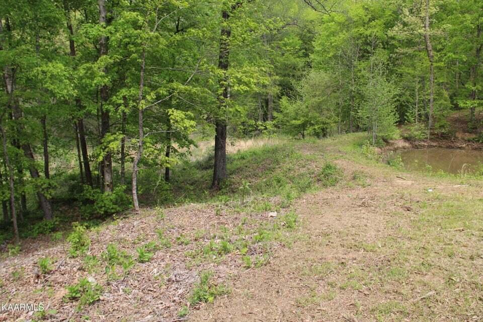348 County Road 188 Decatur, TN 37322 - Photo 8 of 22 8