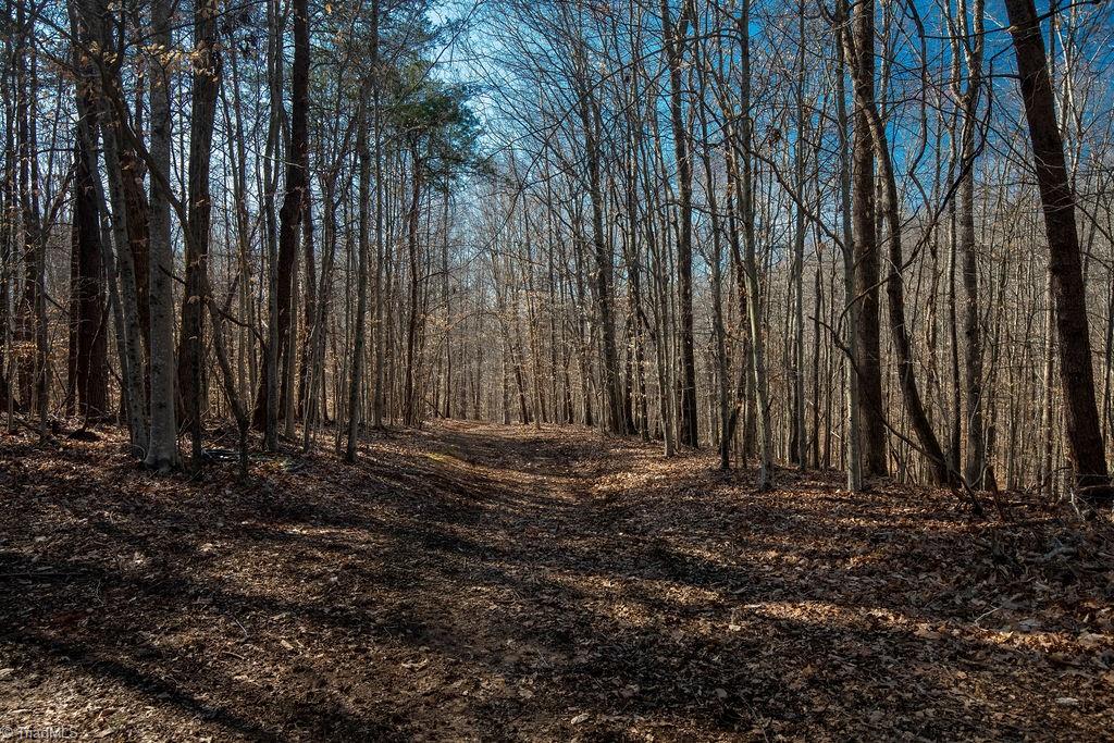275 Beaver Creek Road Mayodan, NC 27027 - Photo 15 of 18