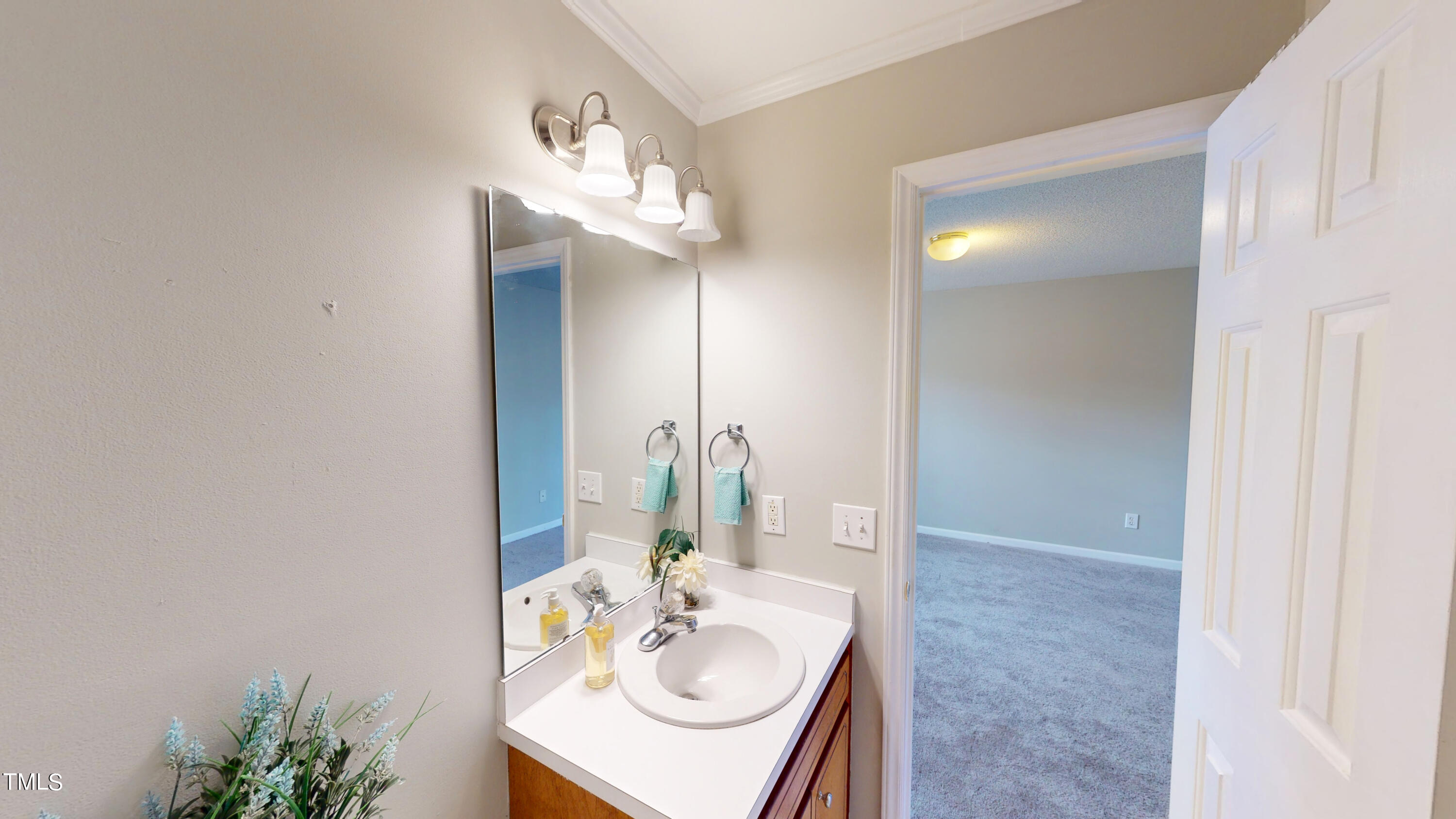 115 Stoneview Circle Smithfield, NC 27577 - Photo 30 of 35 a bathroom with a sink vanity and a mirror