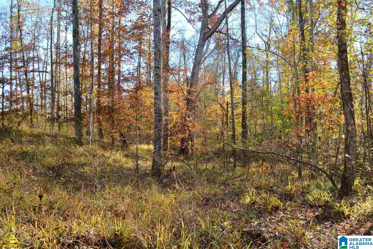 8333 Chelsea Road, Unit 2 Columbiana, AL 35051 - Photo 8 of 13