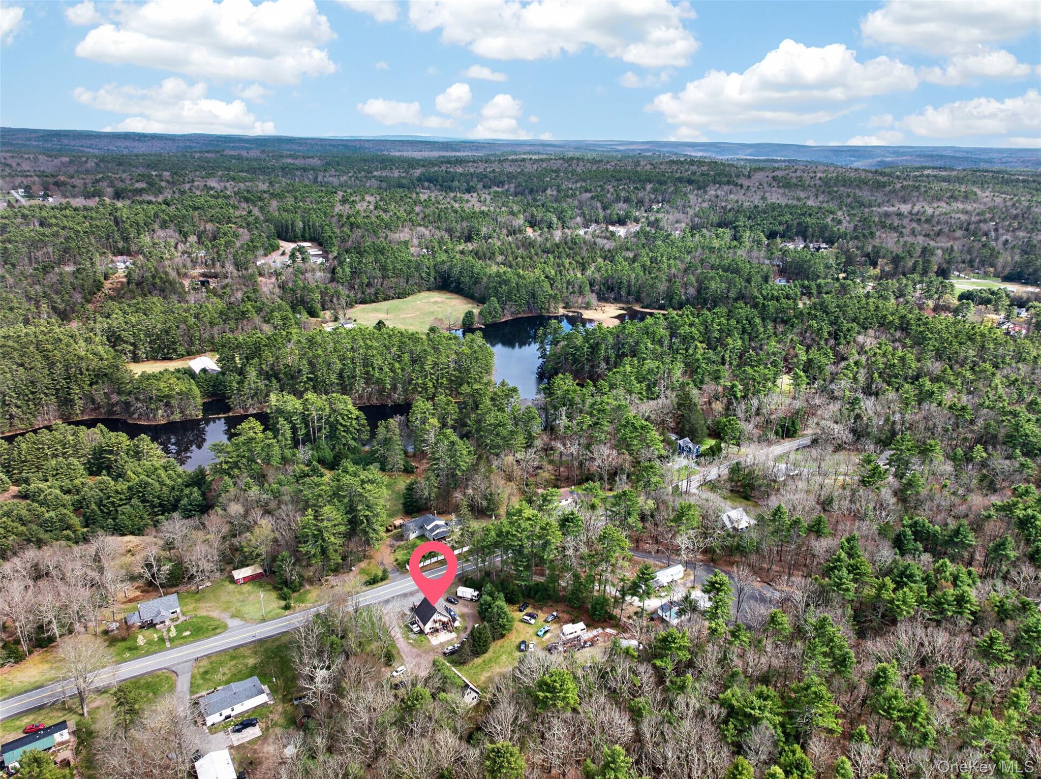 89 Beaver Brook Road Narrowsburg, NY 12764 - Photo 8 of 47