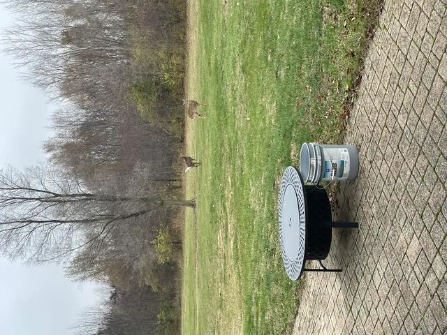 a close view of a bathroom shower