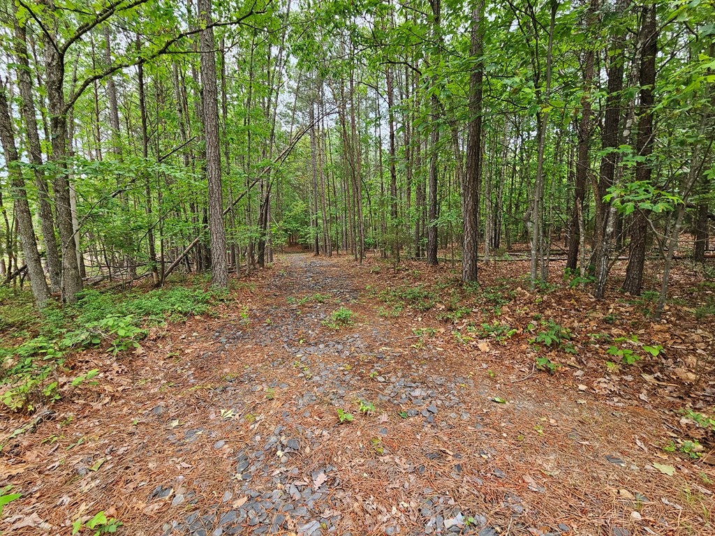 735 Mt Alto Road Esmont, VA 22937 - Photo 20 of 27 Gallery Image 20