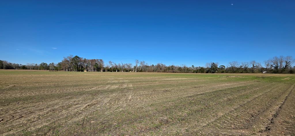 12.7-acres Nobles Road Dothan, AL 36301 - Photo 6 of 41