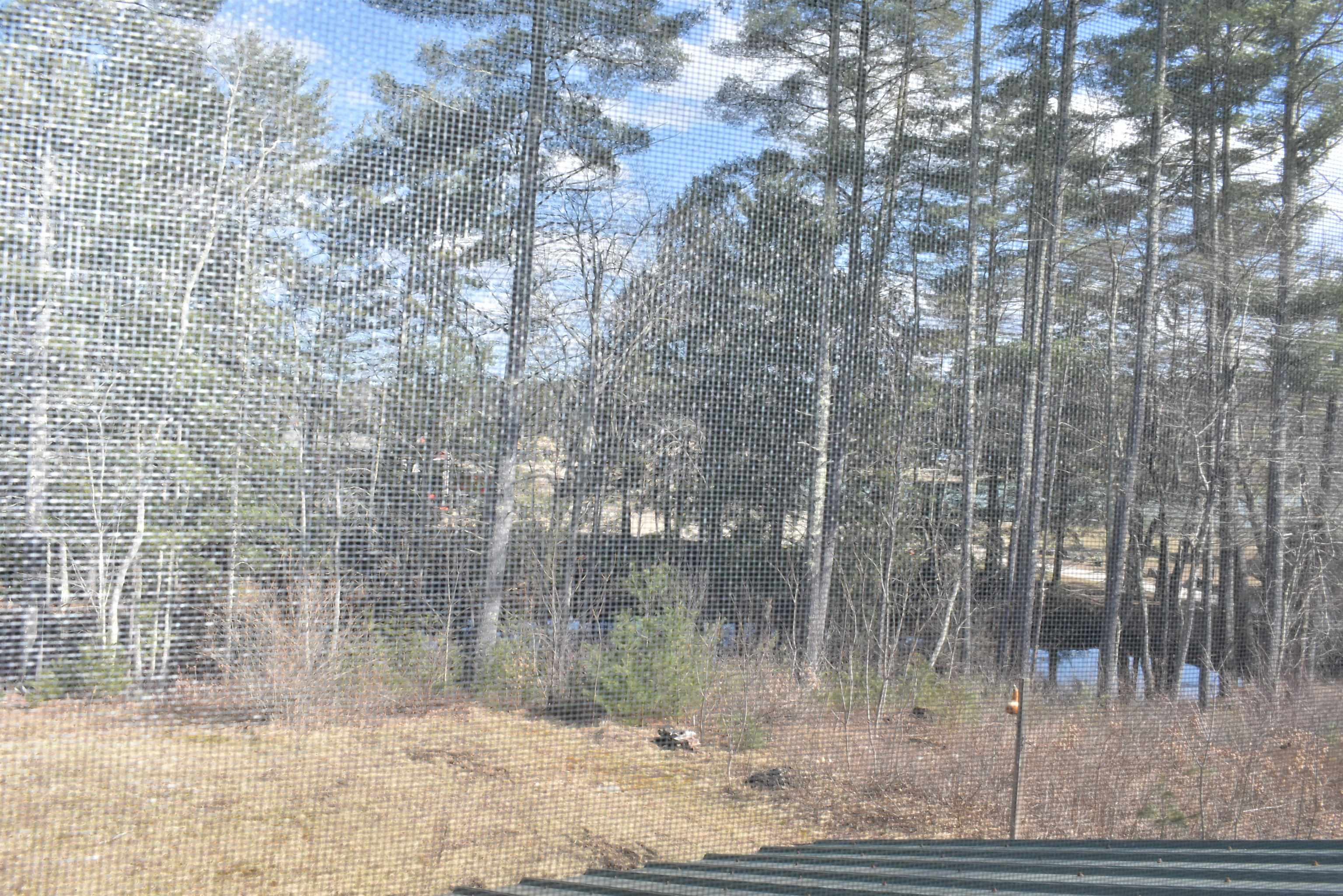 212 Raymond Road, Unit 1 Nottingham, NH 03290 - Photo 20 of 40