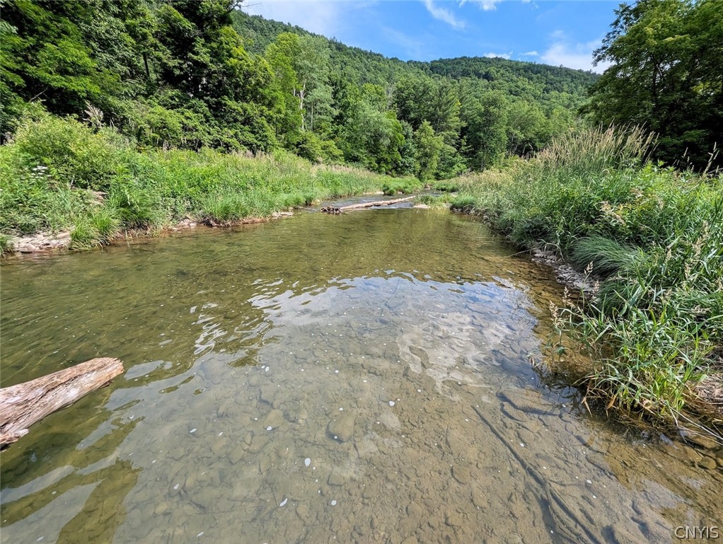 5430 Meads Creek Road Campbell, NY 14870 - Photo 38 of 48
