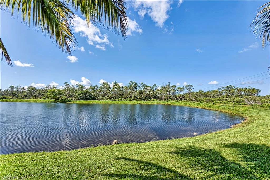 9735 Acqua Court, Unit 622 Naples, FL 34113 - Photo 19 of 34 a view of a lake with a lake