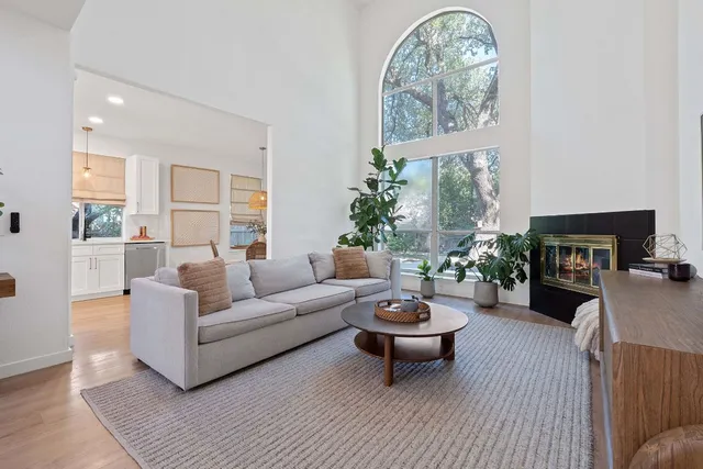 a living room with furniture a fireplace and a potted plant