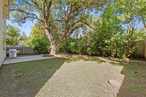 a view of a yard with plants and trees