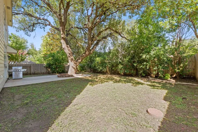 a view of a yard with plants and trees