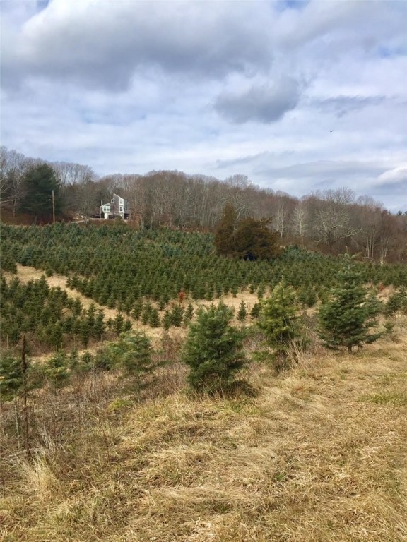 86 N Road Richmond, RI 02875 - Photo 2 of 22