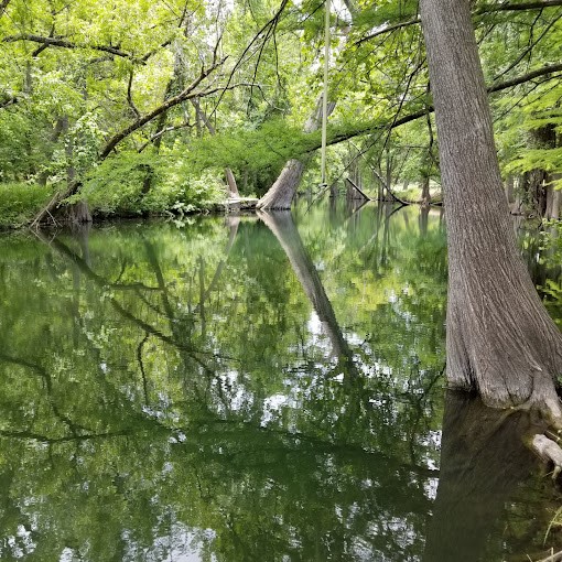 202 Shallow Springs Drive Spring Branch, TX 78070 - Photo 4 of 10 a backyard of a house with lots of green space and a lake view