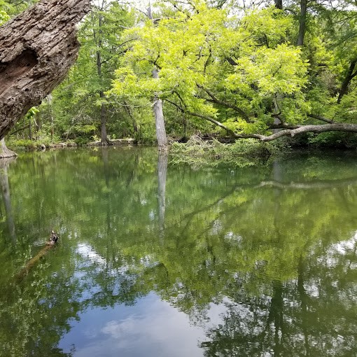 202 Shallow Springs Drive Spring Branch, TX 78070 - Photo 5 of 10 a view of a lake view
