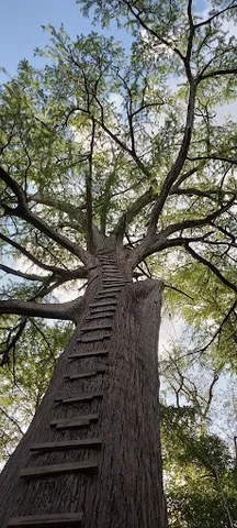 a view of backyard with green space