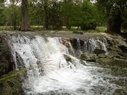 a view of backyard with green space