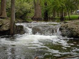 202 Shallow Springs Drive Spring Branch, TX 78070 - Photo 9 of 10 a view of a yard with a tree