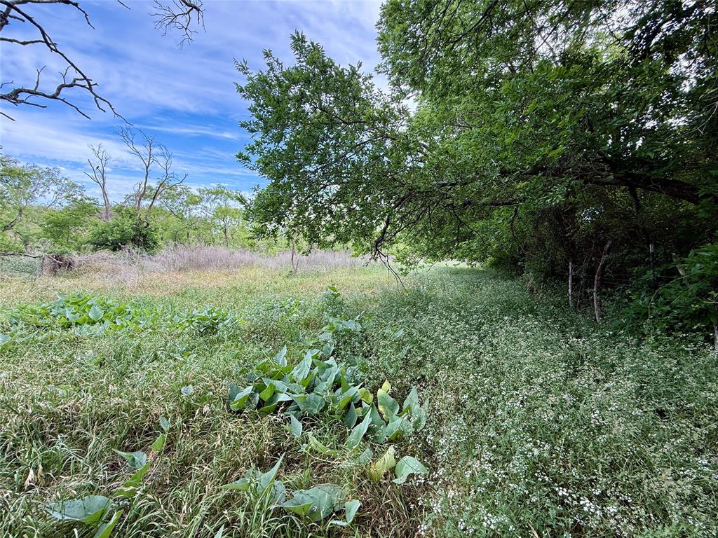 Tbd Tbd Magnolia/ Chestnut Street Hico, TX 76457 - Photo 2 of 11 a view of a yard with plants and a tree