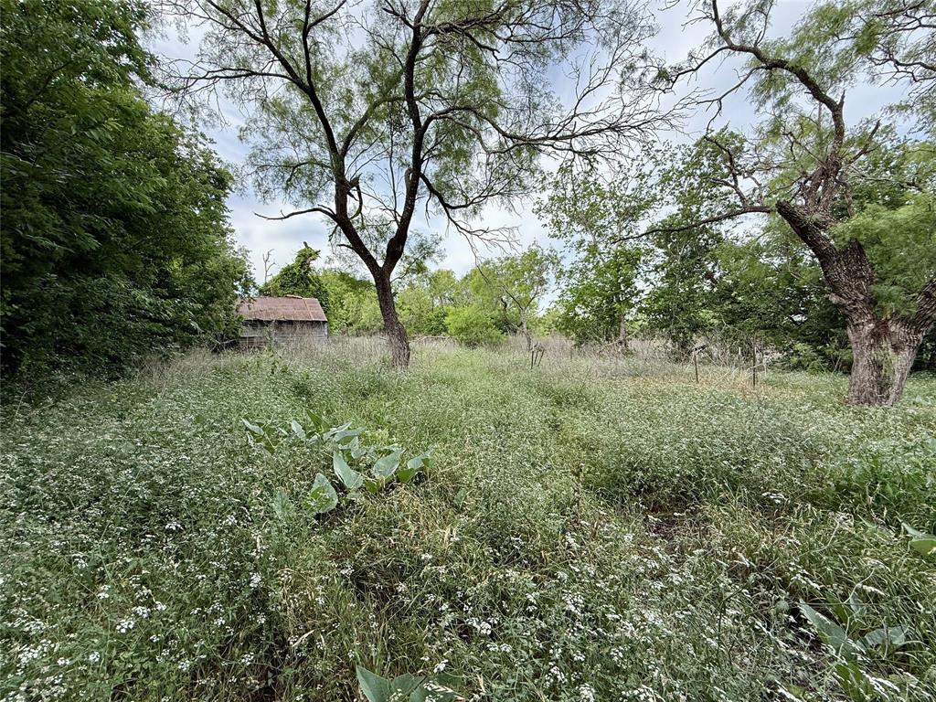 Tbd Tbd Magnolia/ Chestnut Street Hico, TX 76457 - Photo 3 of 11 a view of a forest that has a tree