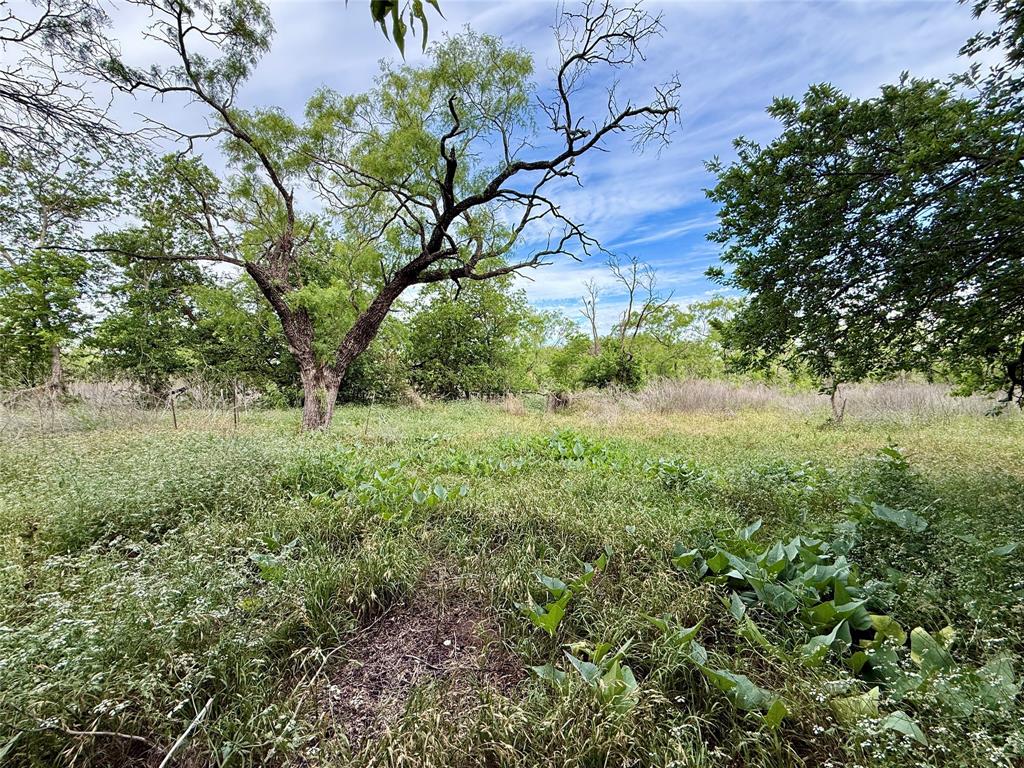 Tbd Tbd Magnolia/ Chestnut Street Hico, TX 76457 - Photo 4 of 11 a view of a yard with a tree