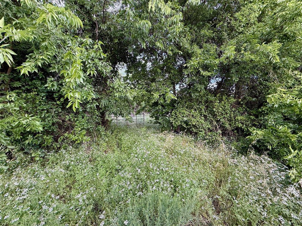 Tbd Tbd Magnolia/ Chestnut Street Hico, TX 76457 - Photo 5 of 11