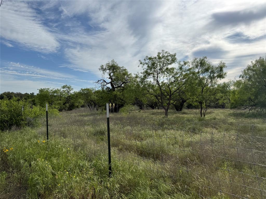 Tbd Tbd Magnolia/ Chestnut Street Hico, TX 76457 - Photo 6 of 11 a view of a outdoor space