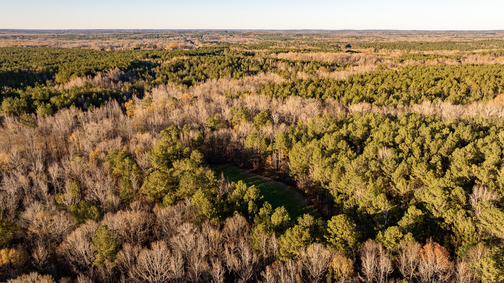 8548 Elberton Road Tignall, GA 30668 - Photo 19 of 50 a view of a city