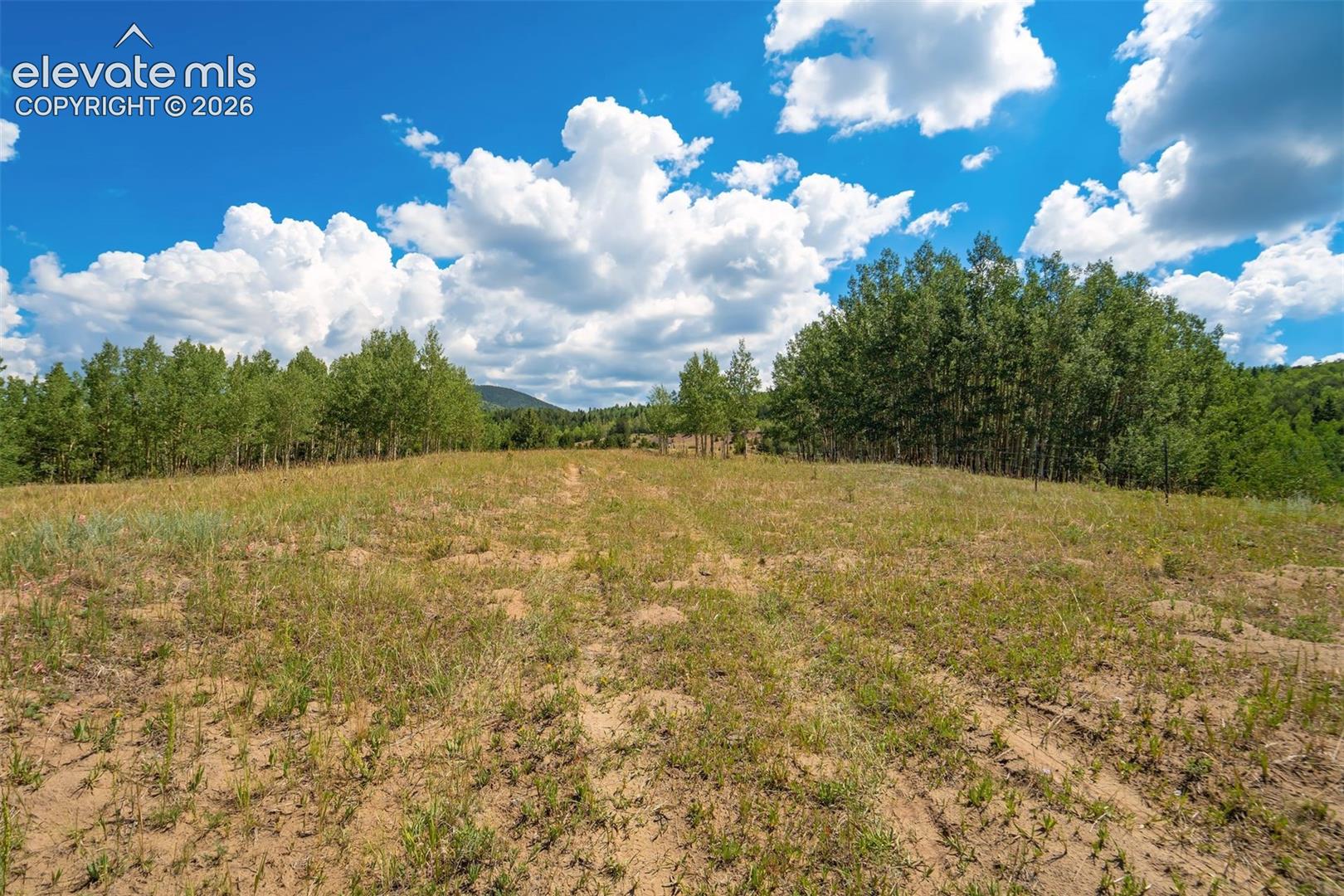 86 County Road Victor, CO 80860 - Photo 50 of 50 Gallery Image 50