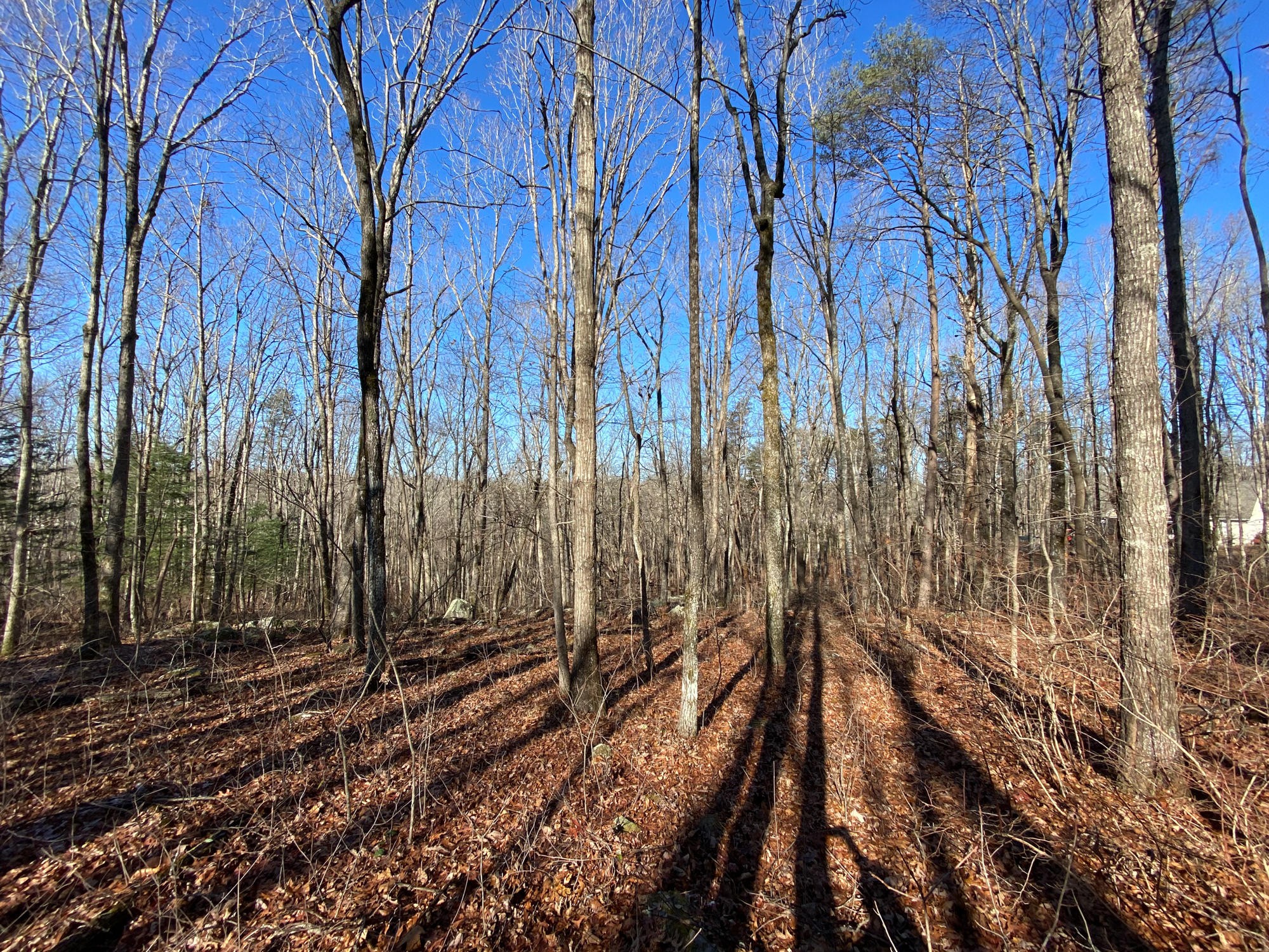 7 Lookout Drive Rising Fawn, GA 30738 - Photo 21 of 25