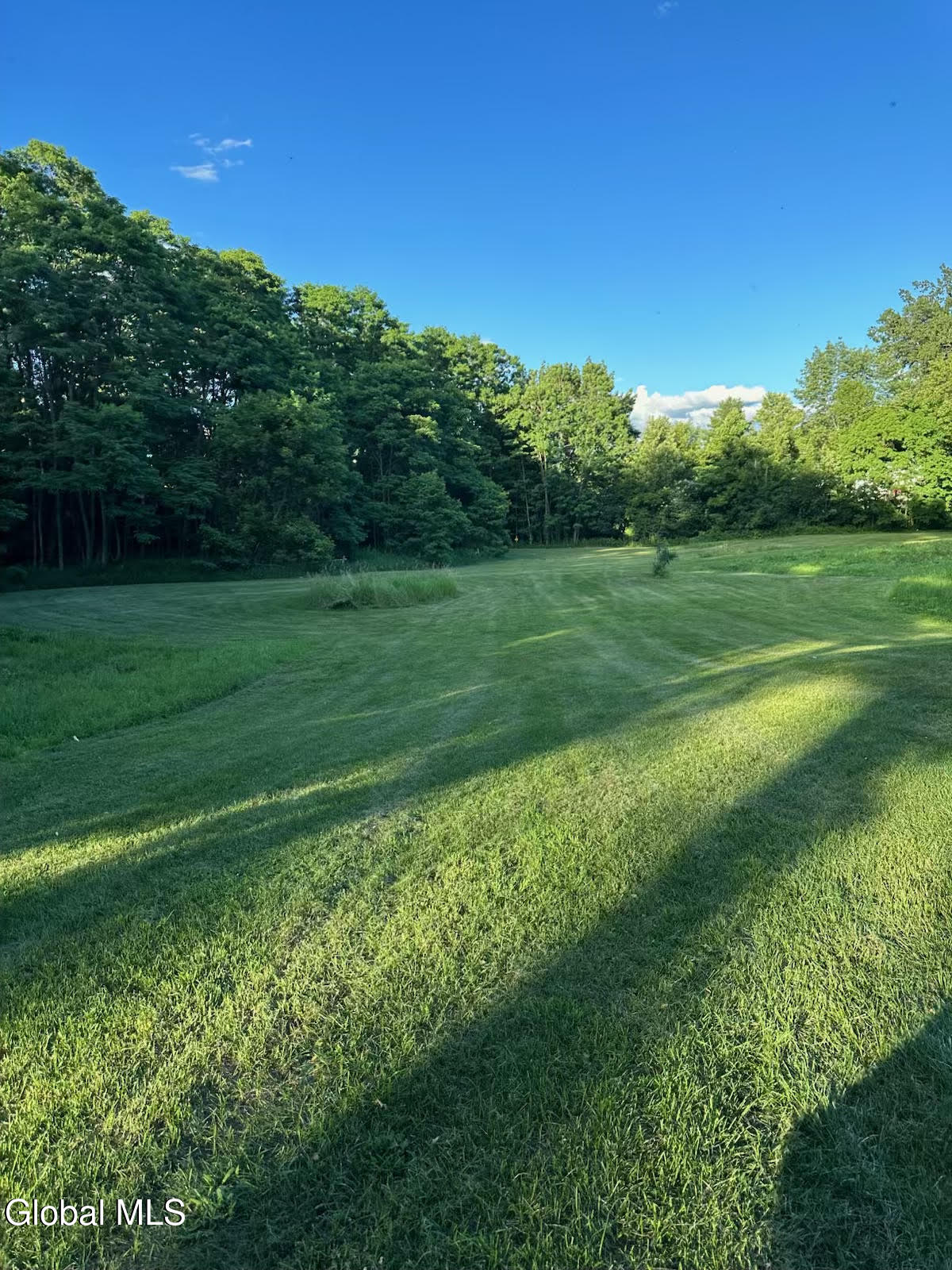 19 Porter Mill Road Crown Point, NY 12928 - Photo 12 of 27 unnamed (14)