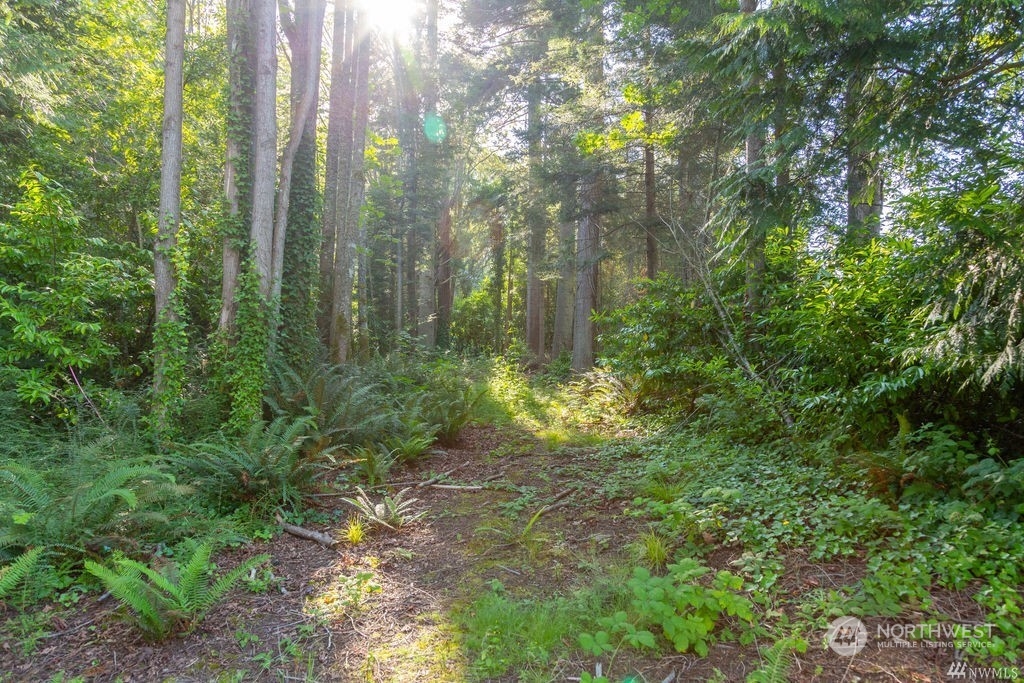23398 Jefferson Point Road Northeast Kingston, WA 98346 - Photo 15 of 24 Gallery Image 15