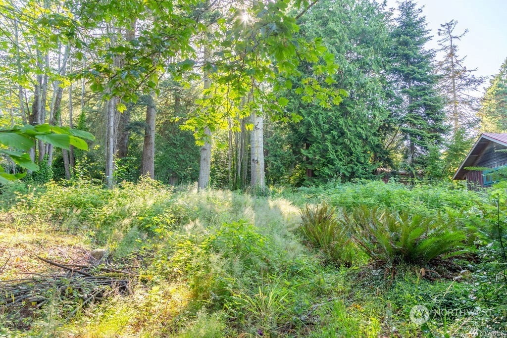 23398 Jefferson Point Road Northeast Kingston, WA 98346 - Photo 8 of 24 Gallery Image 8