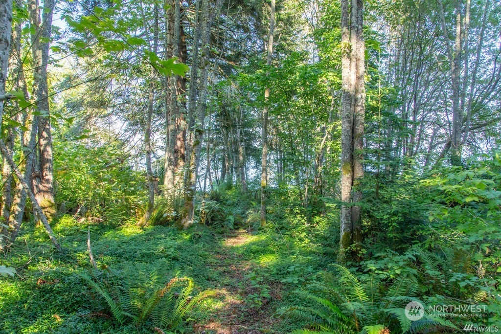 23398 Jefferson Point Road Northeast Kingston, WA 98346 - Photo 10 of 24 Gallery Image 10
