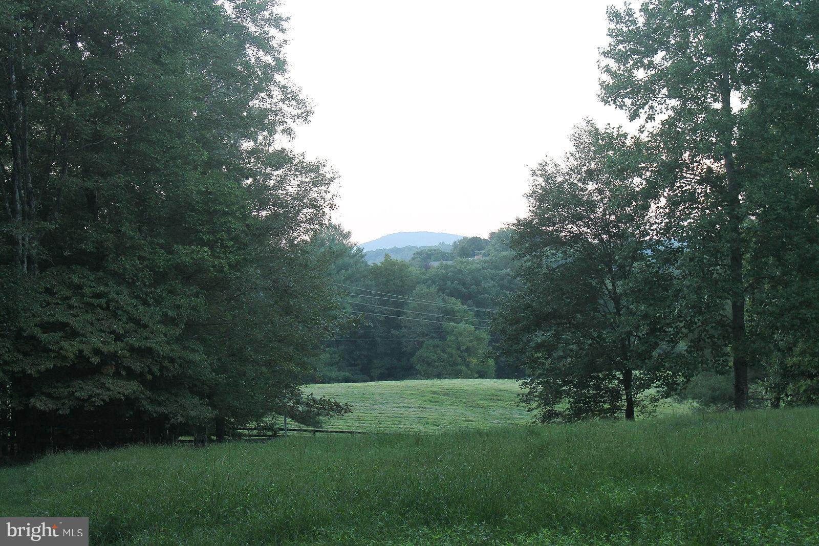 6577 Olinger Road Marshall, VA 20115 - Photo 25 of 31