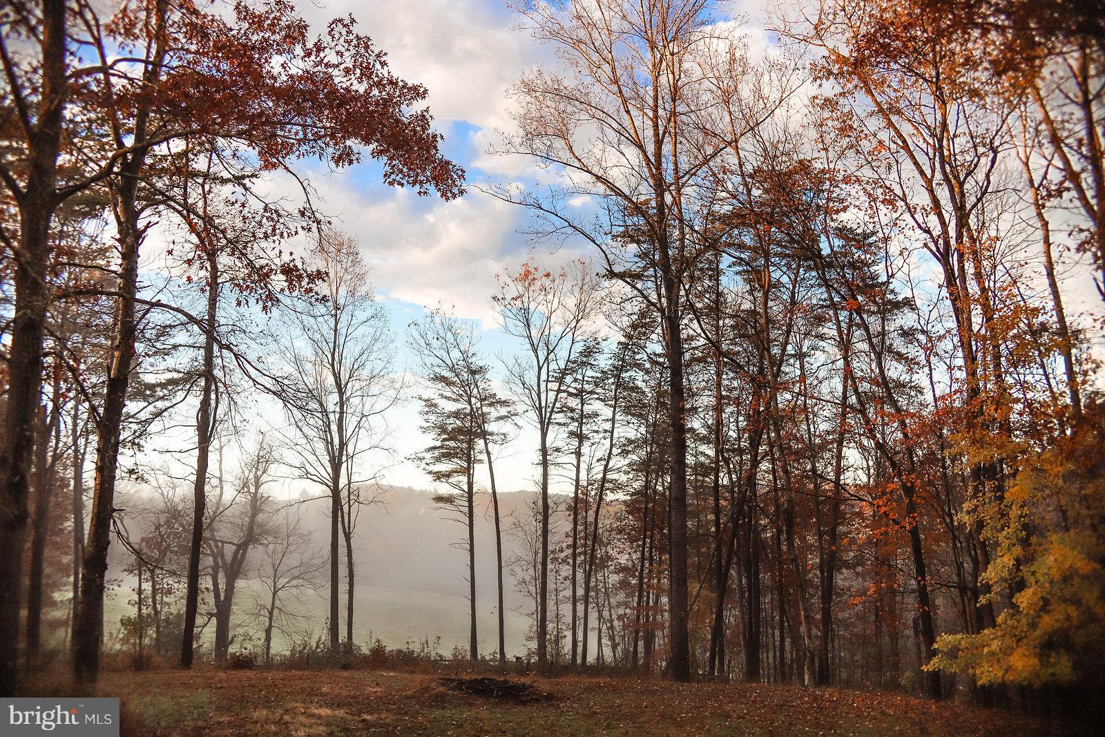 6577 Olinger Road Marshall, VA 20115 - Photo 29 of 31