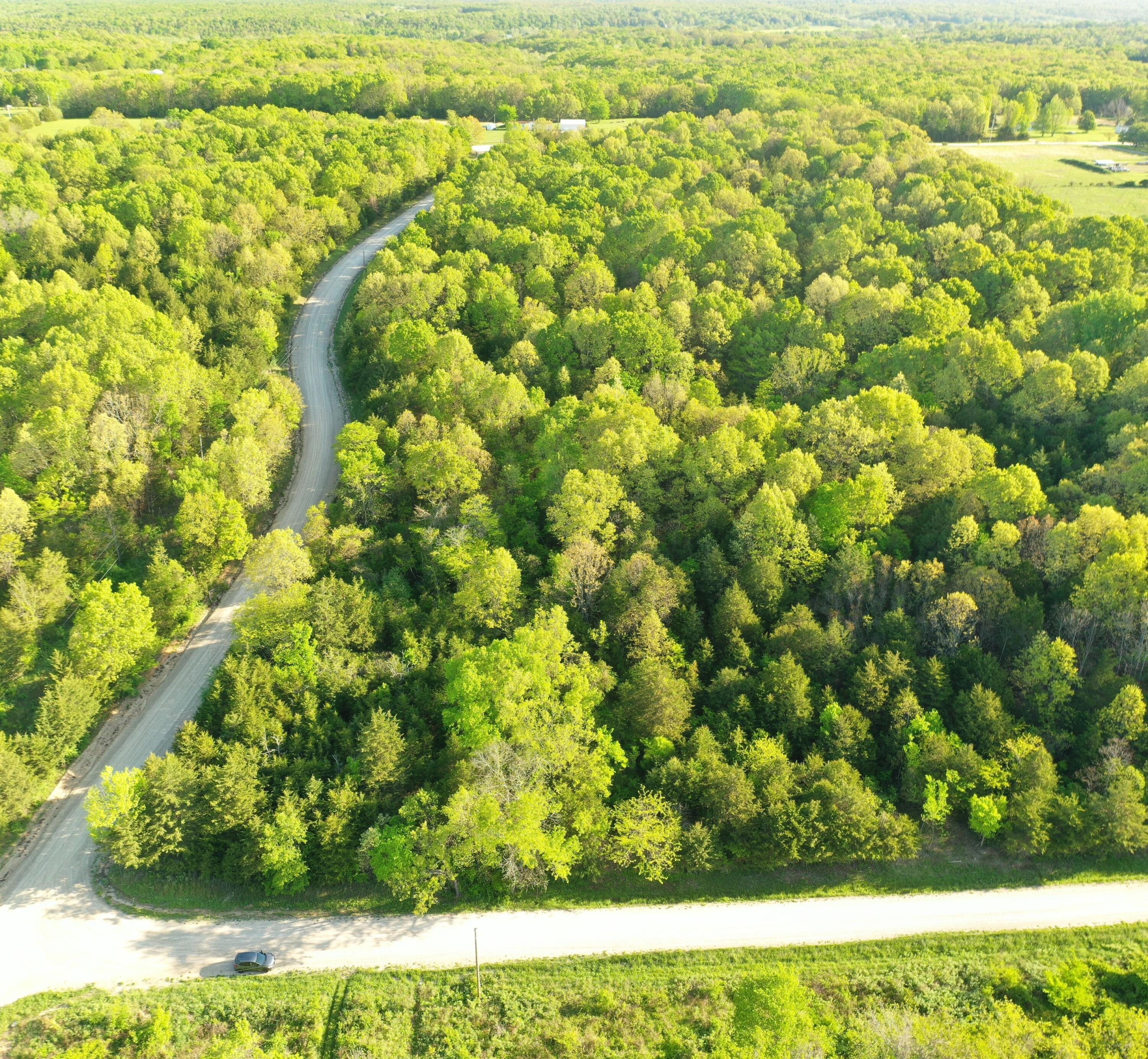 0 Depot Road Fordland, MO 65652 - Photo 1 of 1 Aerial