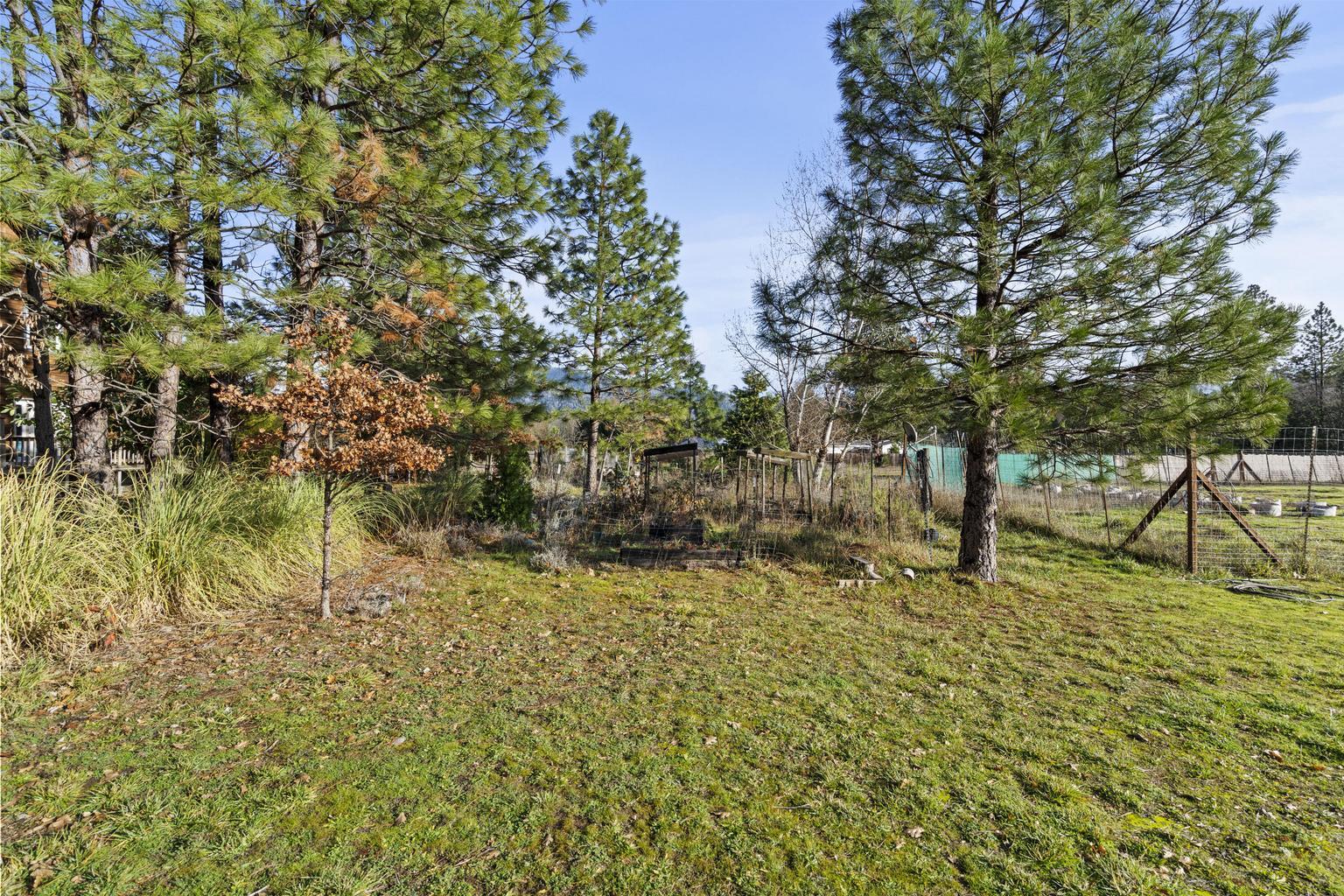 1190 Cedar Flat Road Williams, OR 97544 - Photo 28 of 45 a view of swimming pool with a tree