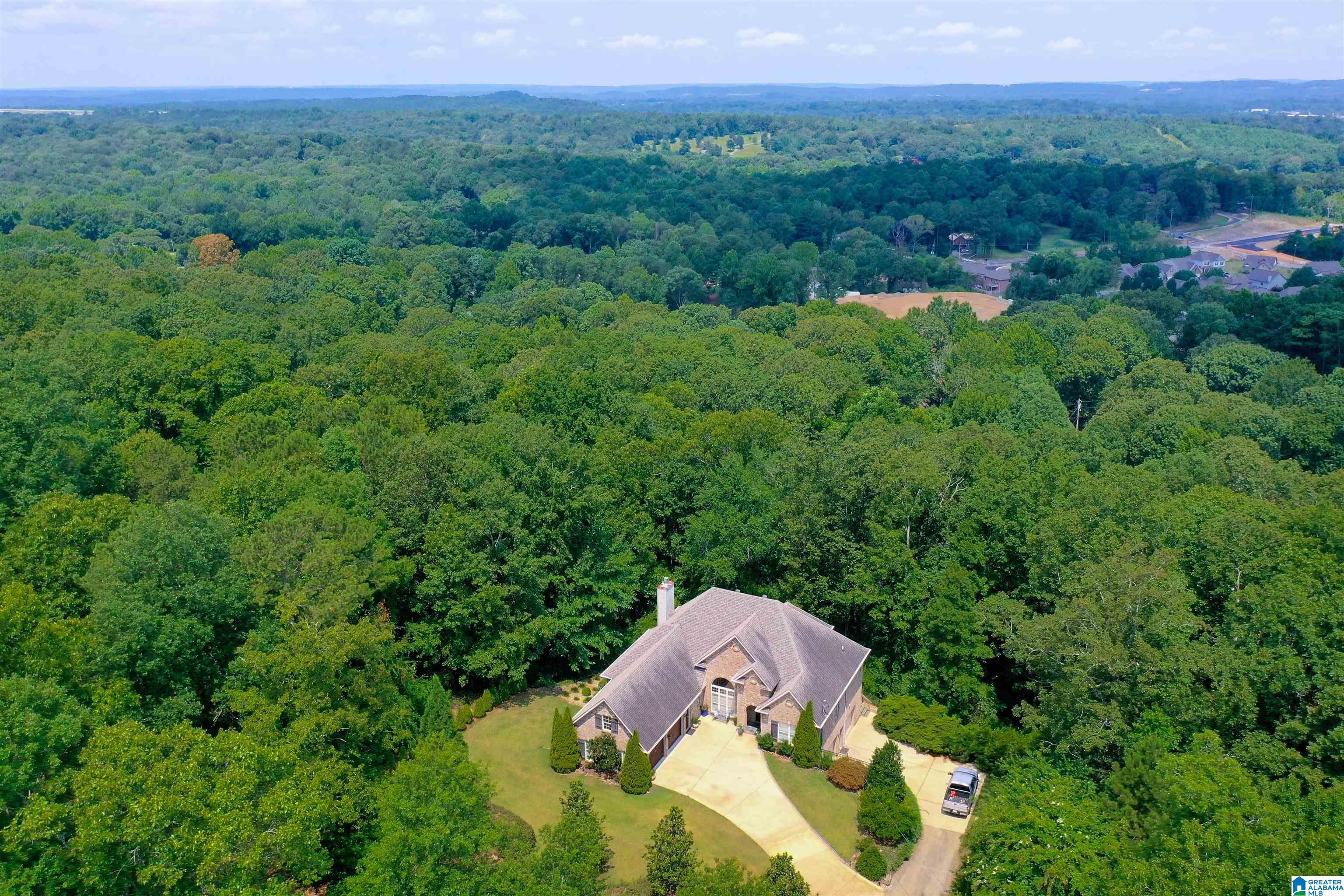 4194 South Shades Crest Road Birmingham, AL 35244 - Photo 31 of 38