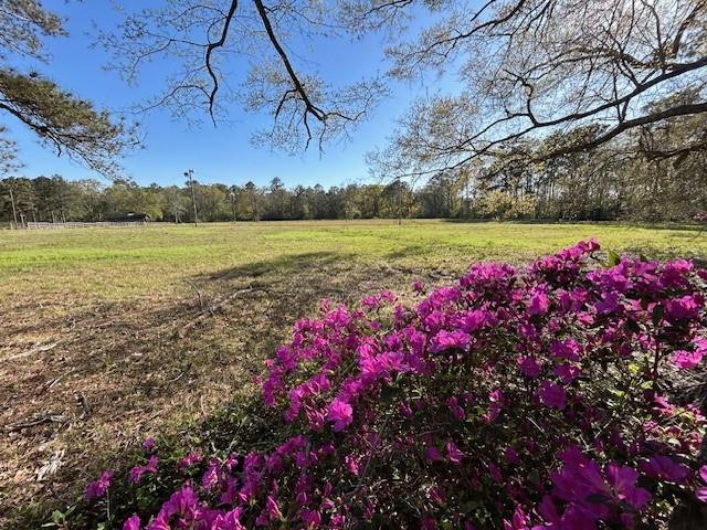 72000 Joseph Road Covington, LA 70433 - Photo 3 of 16