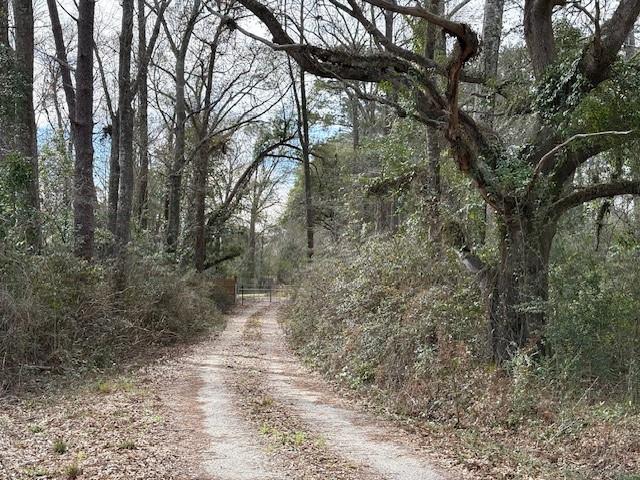 72000 Joseph Road Covington, LA 70433 - Photo 4 of 16