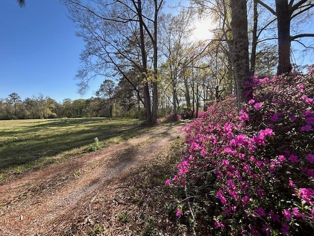 72000 Joseph Road Covington, LA 70433 - Photo 5 of 16