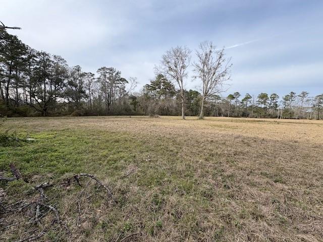 72000 Joseph Road Covington, LA 70433 - Photo 10 of 16