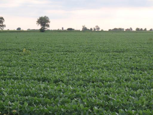 38 And Howard Road Maple Park, IL 60151 - Photo 1 of 2 a view of a grassy field