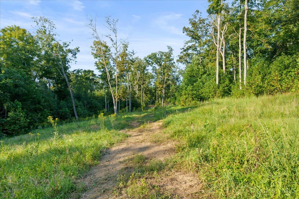 Acres Waggoner Riffle Road West Union, OH 45693 - Photo 6 of 29 Gallery Image 6