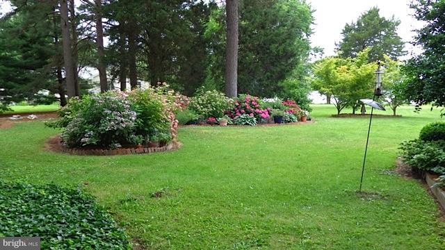 7936 Bozman Neavitt Road St. Michaels, MD 21663 - Photo 7 of 24 Exterior (General)
