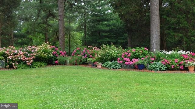 7936 Bozman Neavitt Road St. Michaels, MD 21663 - Photo 8 of 24 Exterior (General)