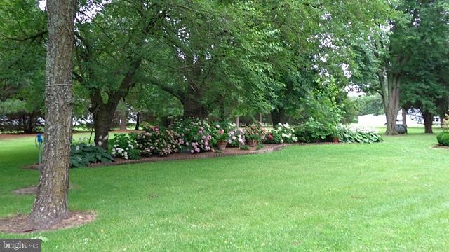7936 Bozman Neavitt Road St. Michaels, MD 21663 - Photo 9 of 24 Exterior (General)