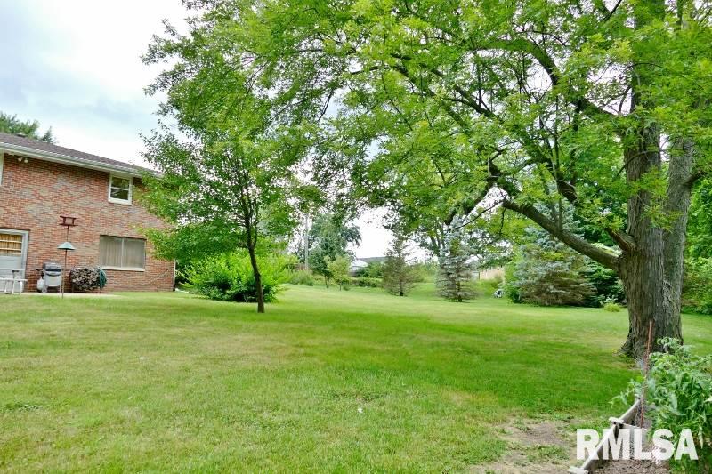 203 Locust Street Washington, IL 61571 - Photo 31 of 32 Gallery Image 31