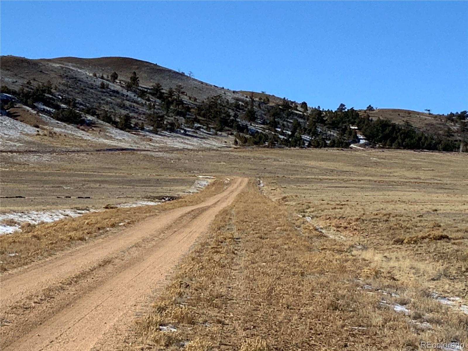 6359 Larimer Road Hartsel, CO 80449 - Photo 7 of 21