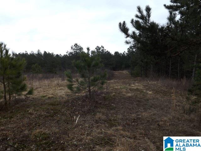 29 Highway Ac Al, Unit 33 Oneonta, AL 35121 - Photo 22 of 23