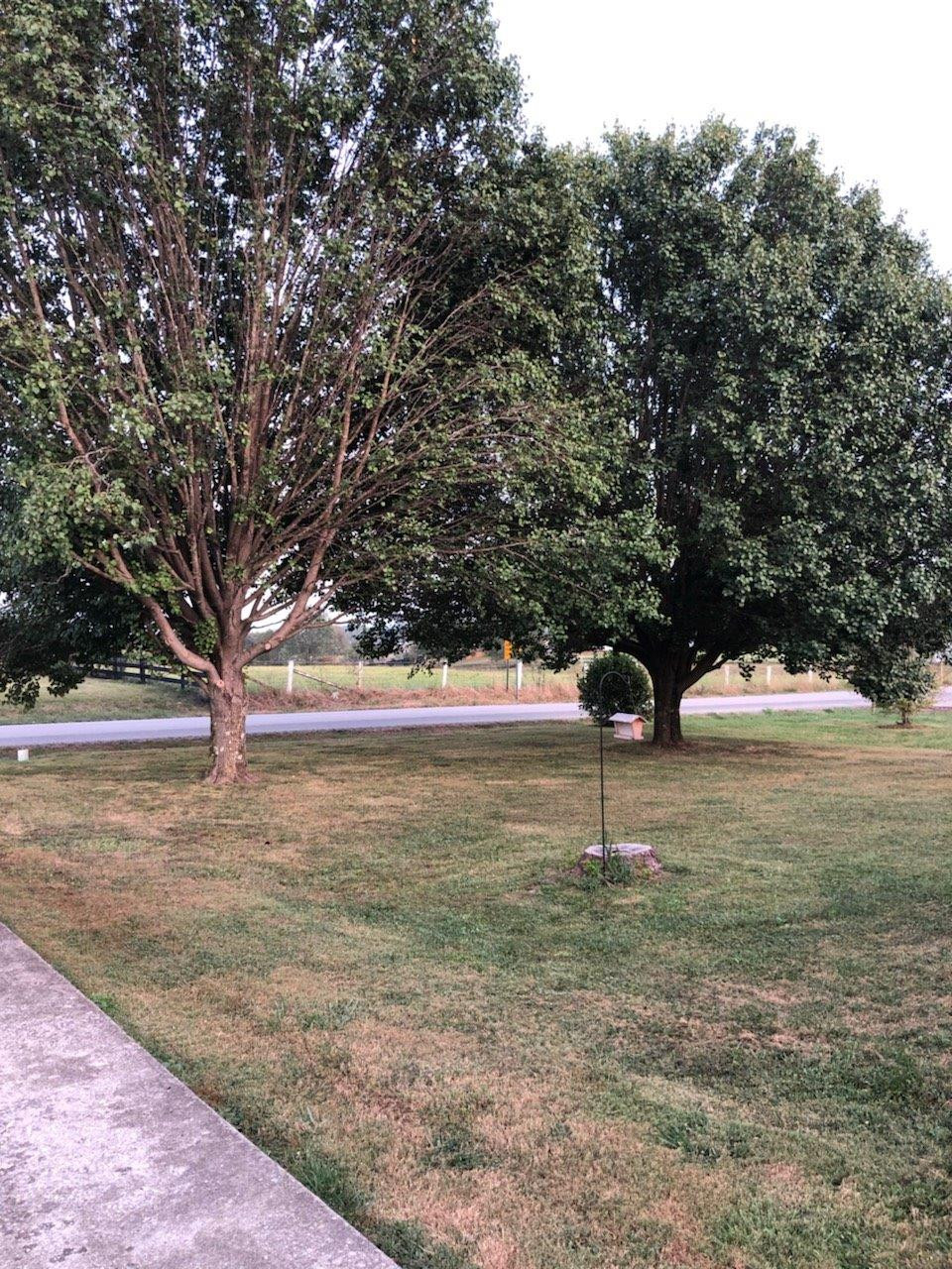 1282 Rough Creek Road London, KY 40744 - Photo 4 of 42 Listing Photo